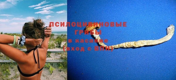 spice Алексин