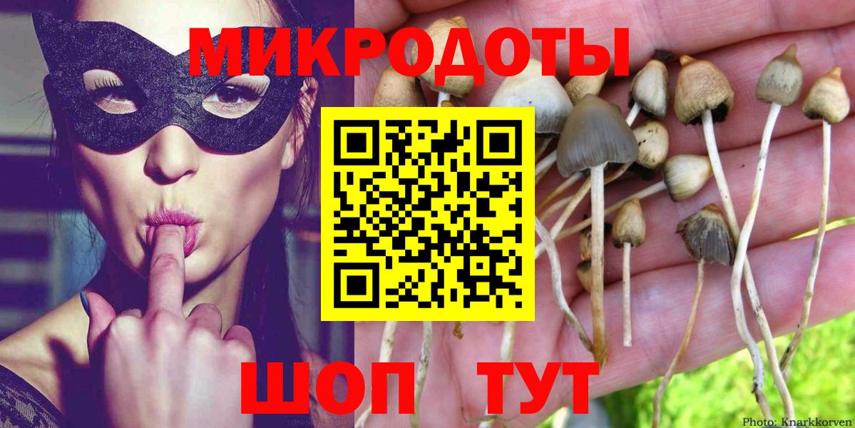 Североуральск  дарнет шоп  Вход с VPN  Псилоцибиновые грибы Cubensis 