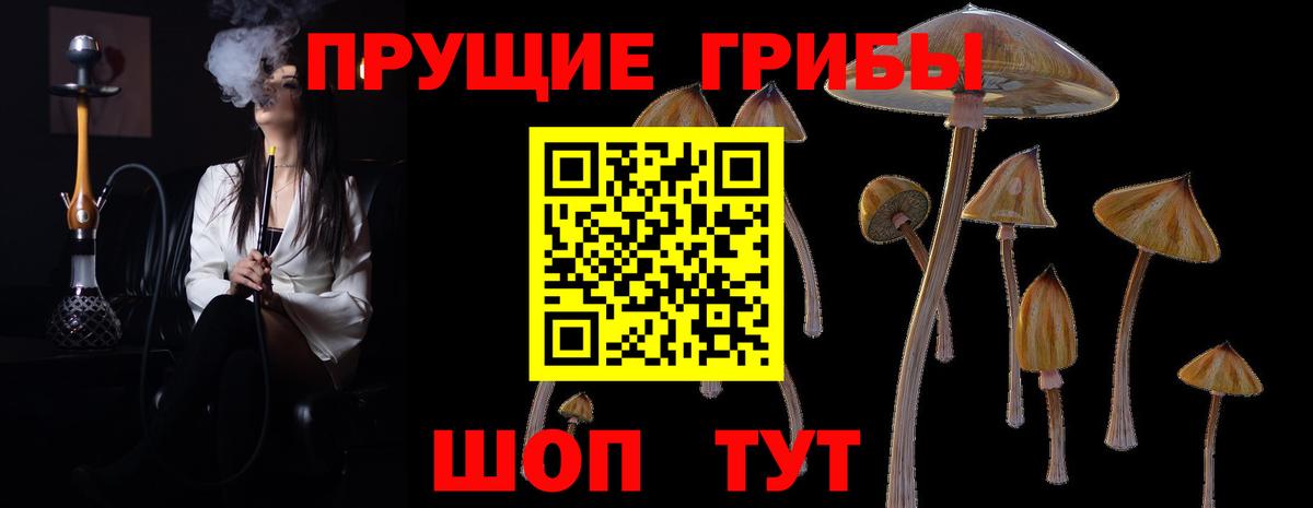 Галлюциногенные грибы ЛСД Североуральск